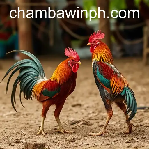 Exploring the World of Sabong Games and the Impact of CHAMBAWIN.COM